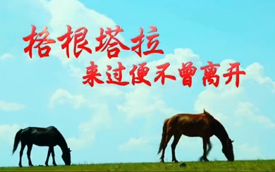 &#20061;&#28216;&#24179;&#21488;&#45;&#20061;&#28216;&#111;&#110;&#108;&#105;&#110;&#101;&#40;&#20013;&#22269;&#41;